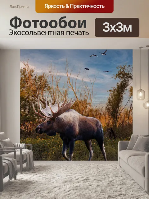 Фотообои Пейзаж