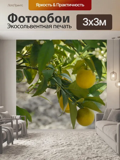 Фотообои Лимоны