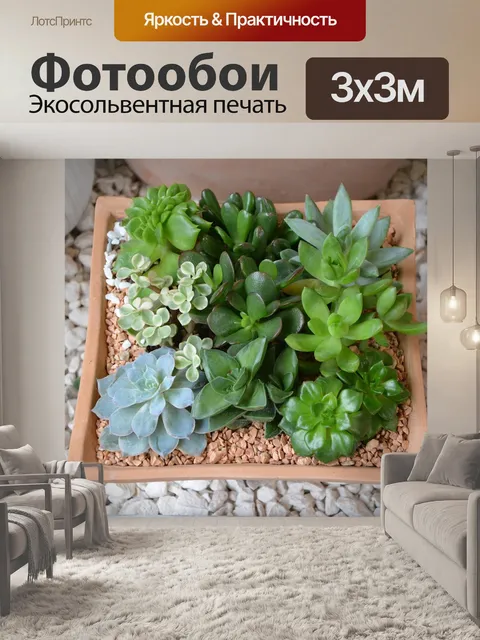 Фотообои Состав зеленые растения