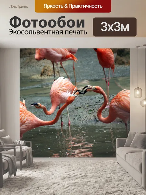 Фотообои Два фламинго бои за еду
