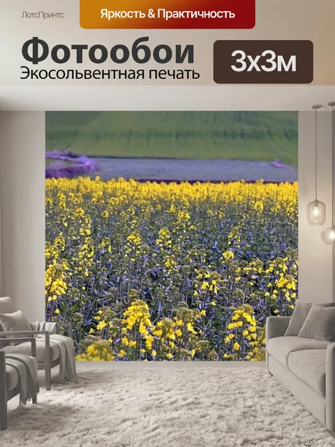 Фотообои Изнасилование