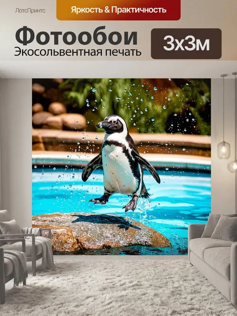Фотообои пингвин, прыгающий с камня в бассейн зоопарка, с каплями воды, разлетающимися в воздух