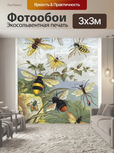 Фотообои пчелы, осы, насекомые, иллюстрация