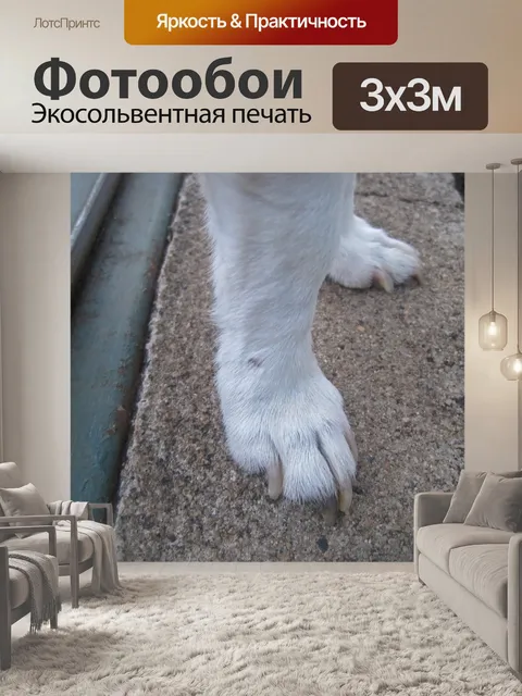 Фотообои ногти под ногами белого гнезда russell