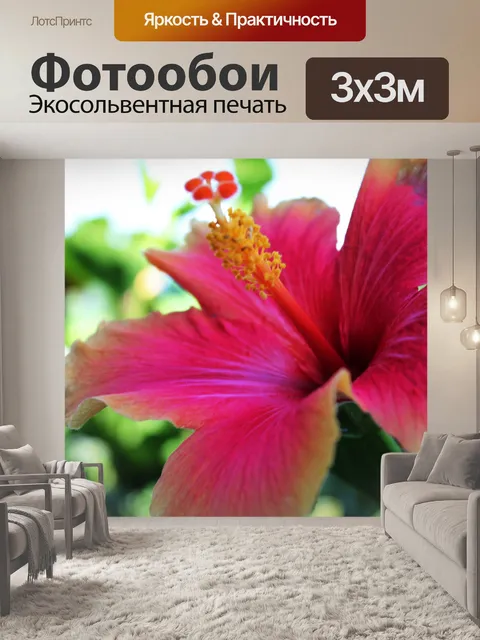 Фотообои Gumamela 2