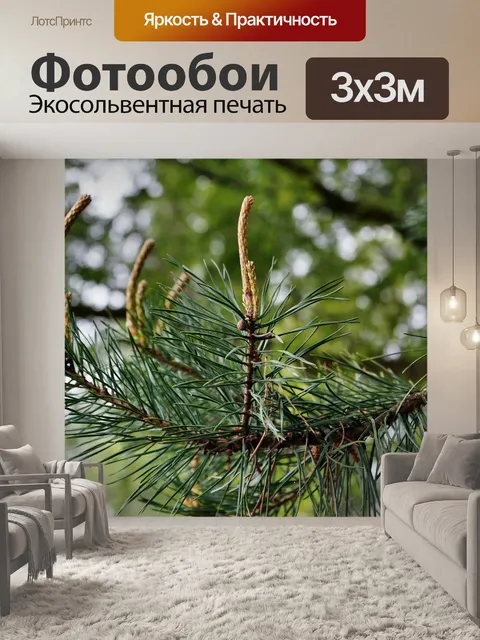 Фотообои Челюсть