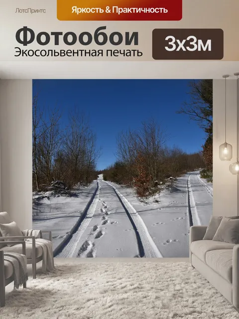 Фотообои Лесная тропа