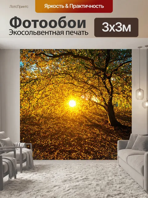 Фотообои тёплое желтое солнце, пробивающееся сквозь листву весеннего леса, создающее игру света и тени на земле