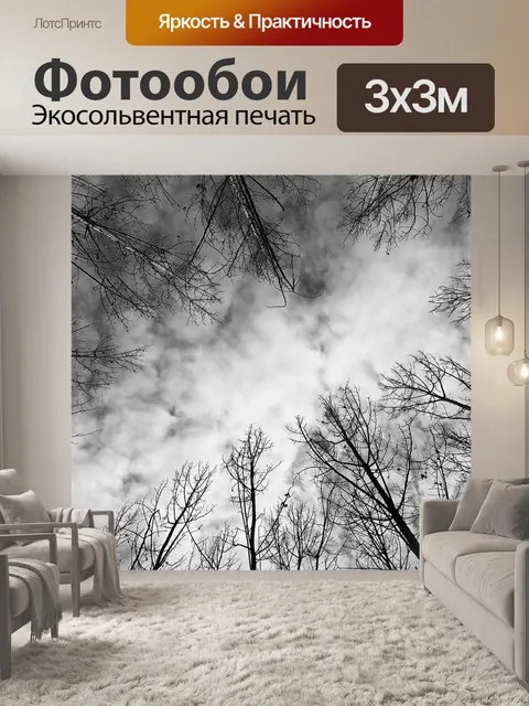 Фотообои Небо