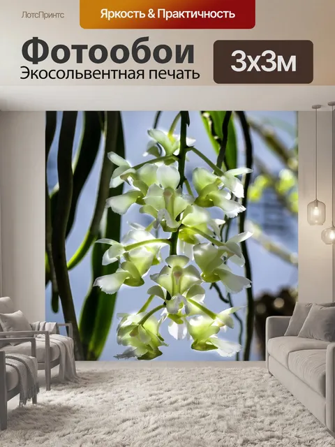 Фотообои Орхидеи