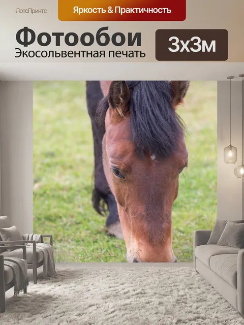 Фотообои Выпас лошадей