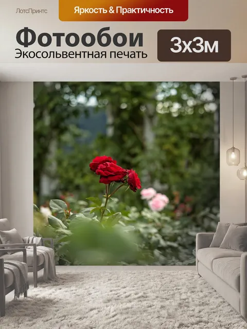 Фотообои Роза