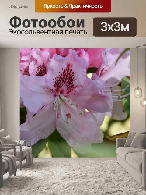 Фотообои Сад