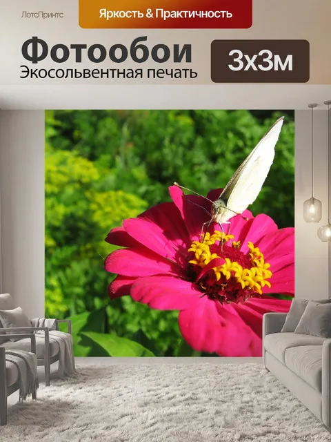 Фотообои Бабочка