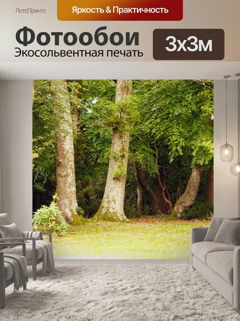Фотообои Деревья, лес