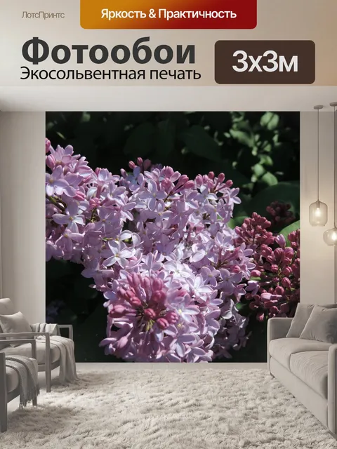 Фотообои Сирень