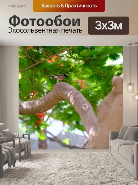 Фотообои Природа