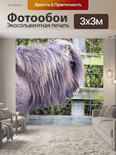 Фотообои Шетландский пони