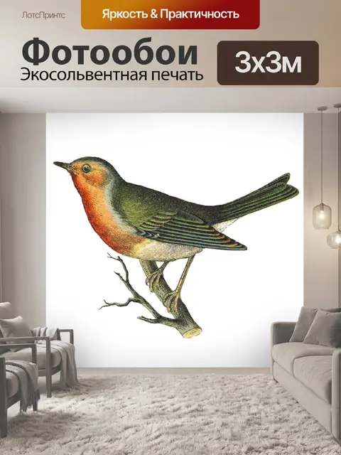 Фотообои Иллюстрация винтажного искусства птиц