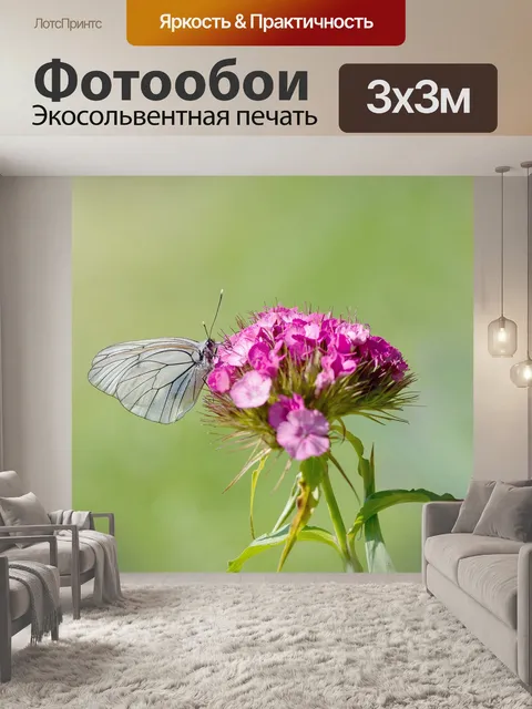 Фотообои Дерево белое