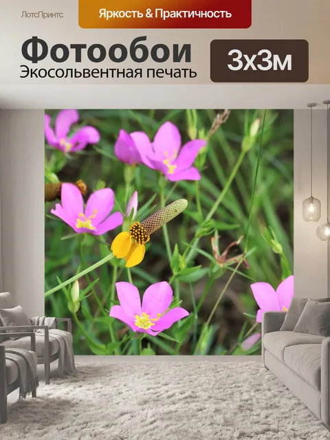 Фотообои Розовые и Желтые полевые цветы