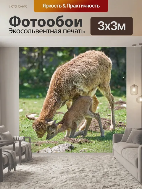 Фотообои Против