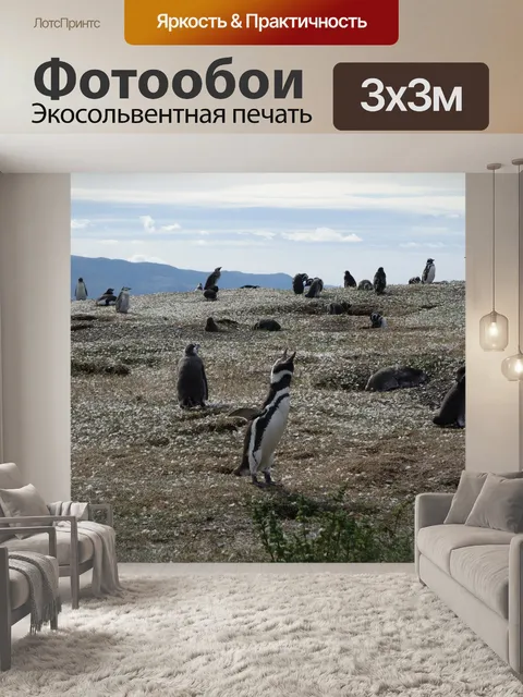 Фотообои Природа