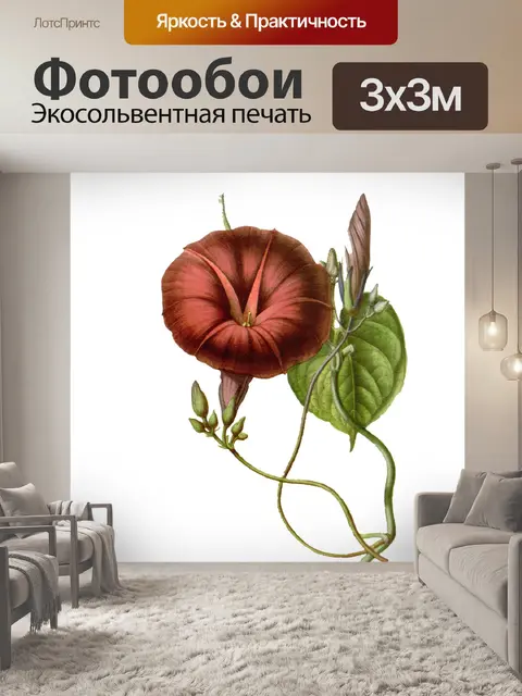 Фотообои Цветы