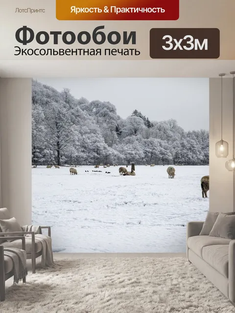 Фотообои Овцы в снегу