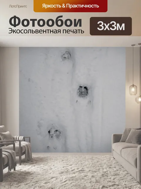 Фотообои Кабан