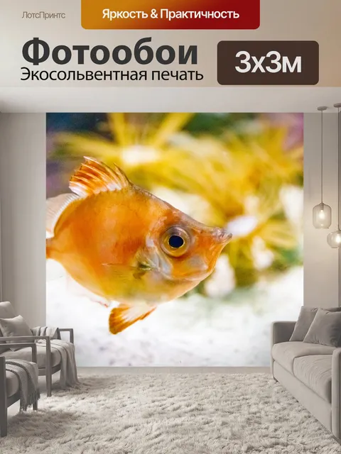 Фотообои Кабан