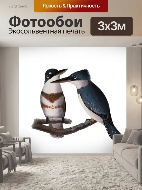 Фотообои Птицы Зимородок Vintage Art