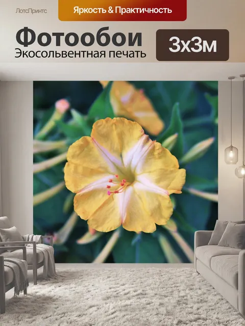 Фотообои желтый труба цветок