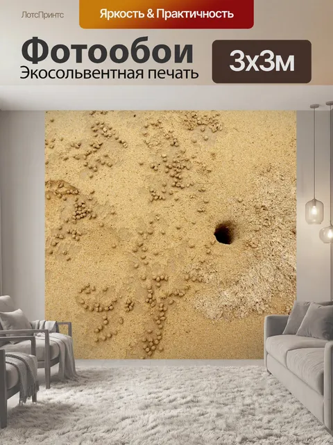 Фотообои Пляж призрак краба