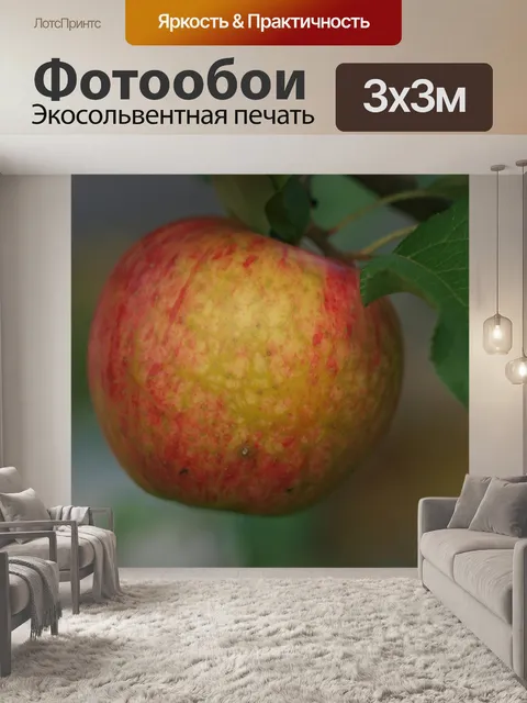 Фотообои Яблоко