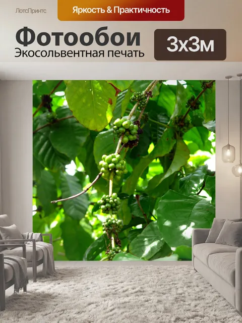 Фотообои Кофе