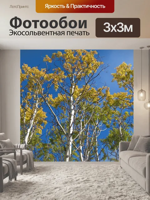 Фотообои Береза