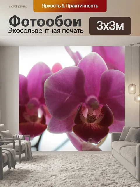 Фотообои Орхидеи