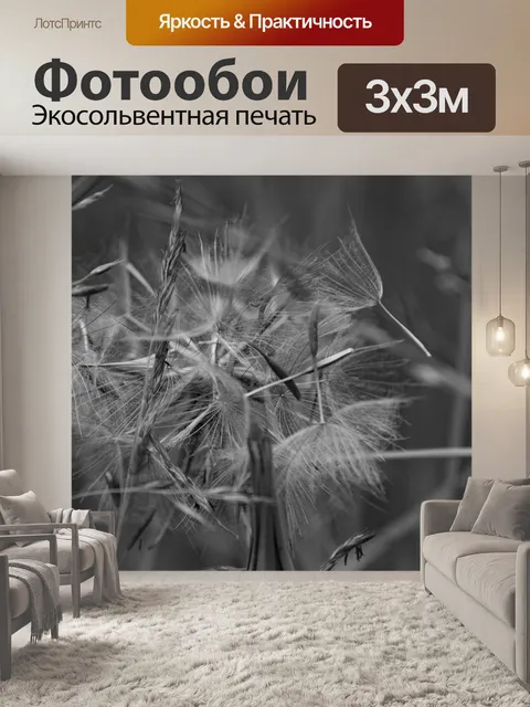 Фотообои одуванчик
