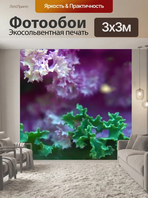 Фотообои кале 11