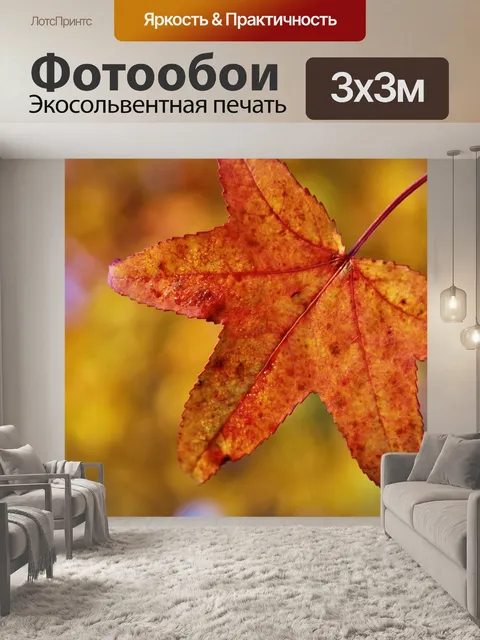 Фотообои Оранжевый