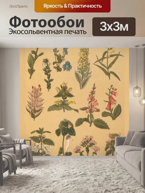 Фотообои Коллаж старинных ботанических растений