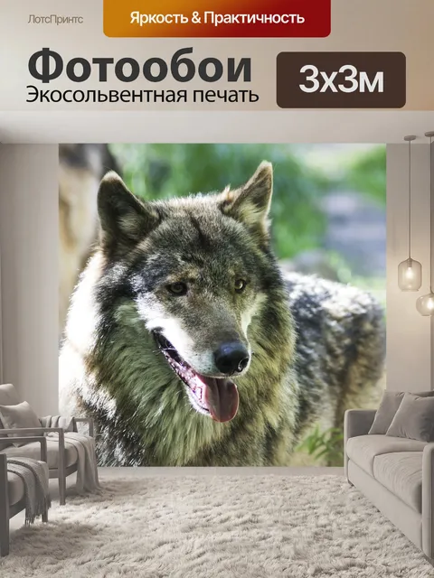 Фотообои Волк