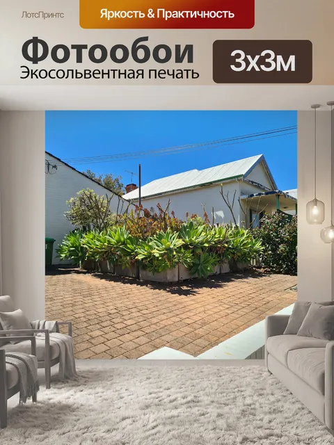 Фотообои Агава и сад Франжипани