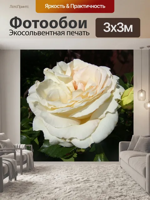 Фотообои Цветы