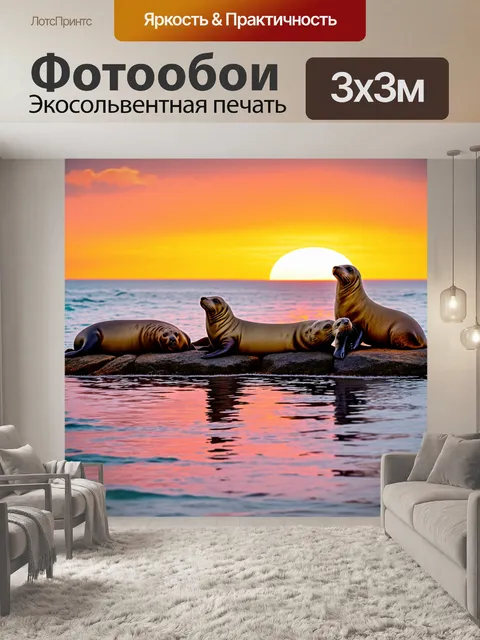 Фотообои группка тюленей, отдыхающих на скалах на фоне яркого заката, отражающегося в океане
