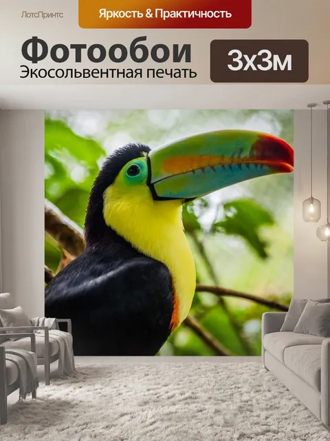 Фотообои Тукан