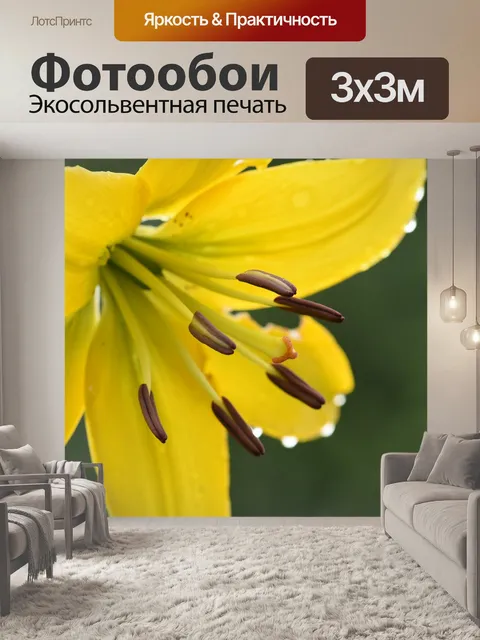 Фотообои Георгин