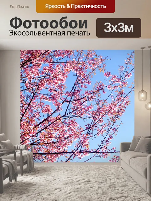 Фотообои Prunus cerasoides, дикая гималайская виш