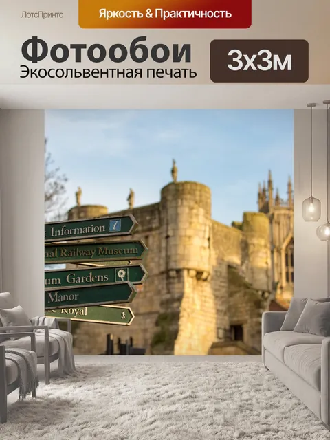 Фотообои Направленная Вход в Йорке